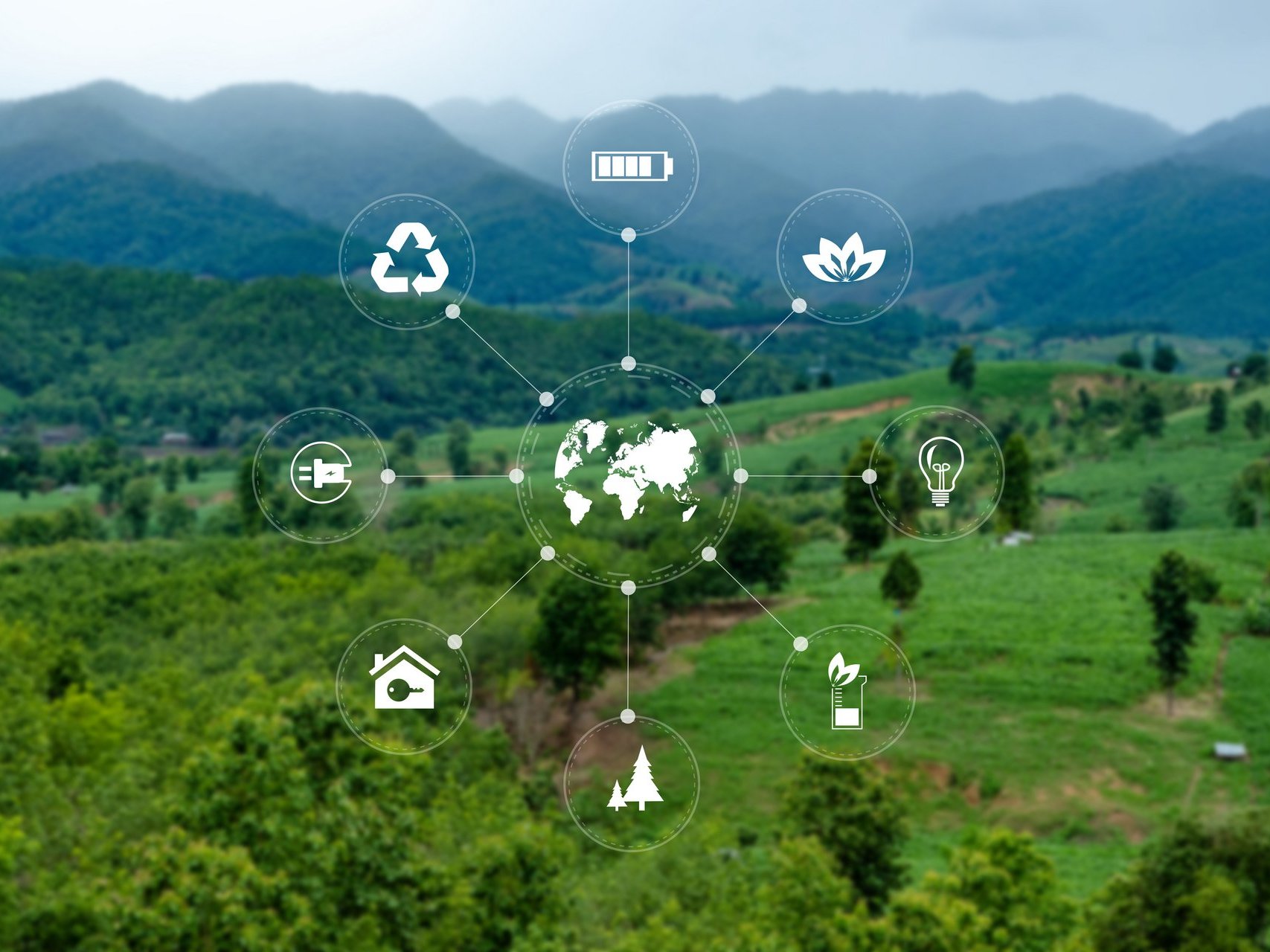 Team Business energy use, sustainability Elements energy sources